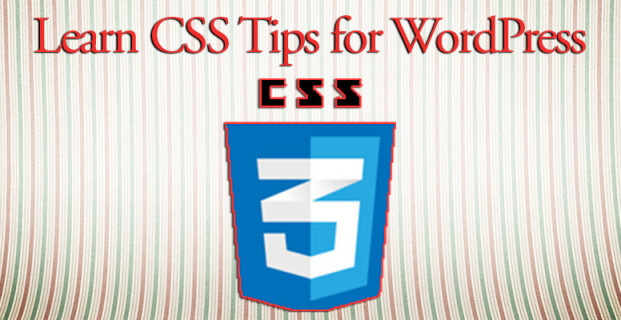CSS Tips and Tricks for WordPress