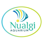 aquarium algae remover