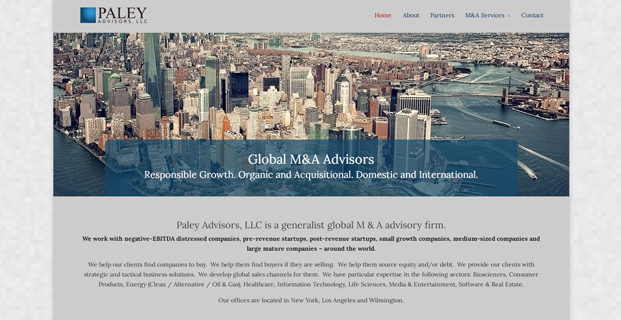 Paley Advisors, LLC: Website Development & Branding